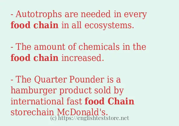 food-chain-some-sentence-examples-englishteststore-blog