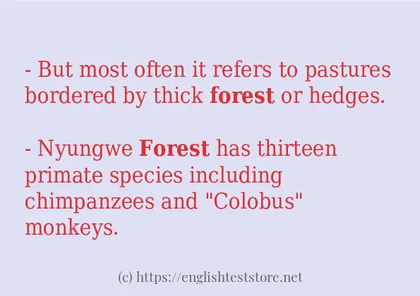 Easy Sentence Of Forest