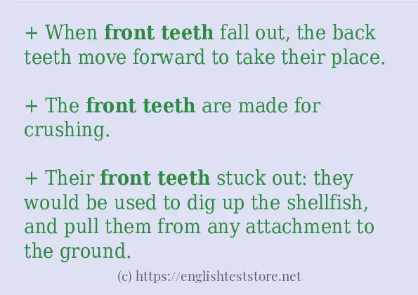 front teeth in sentences?