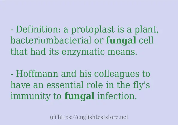 fungal in-sentences