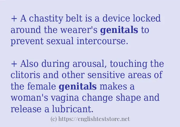 genitals some example sentences