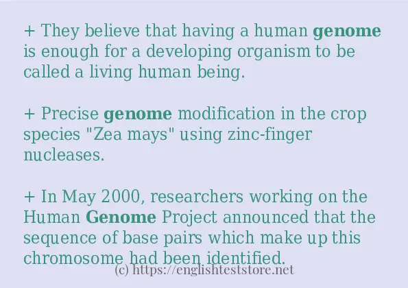 genome how to use in sentences