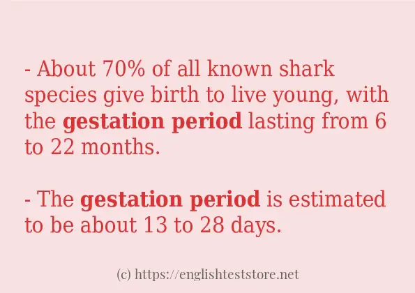 gestation period example in sentences