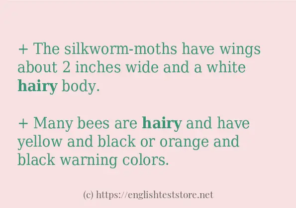 hairy in sentences?