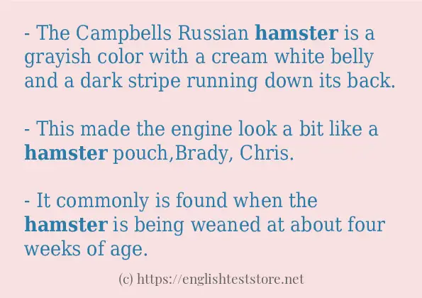 hamster some example sentences