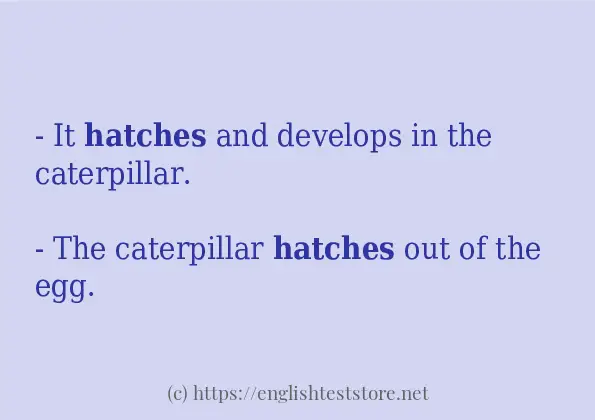 hatches example in sentences