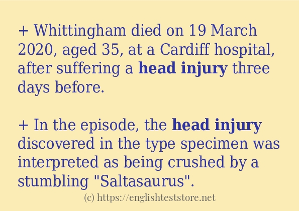 head injury - example sentences