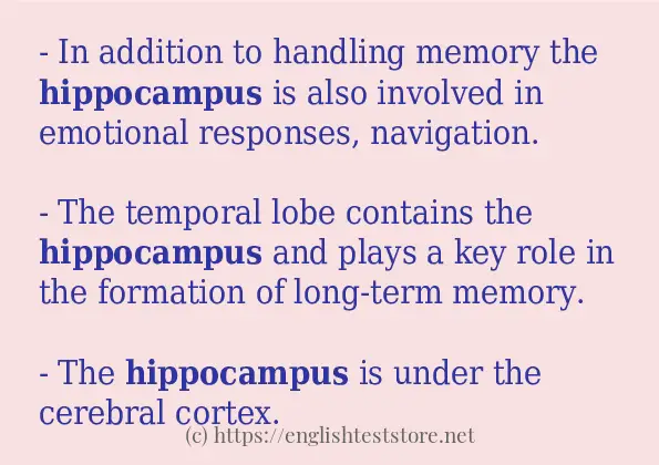 hippocampus how to use in sentences