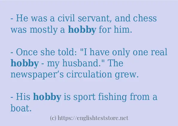 hobby example in sentences