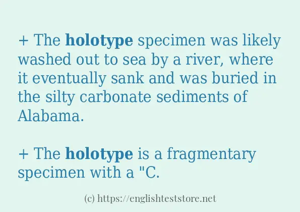 holotype - example sentences