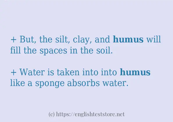 humus in-sentences