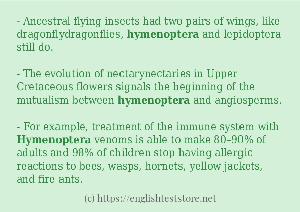 hymenoptera how to use in sentences