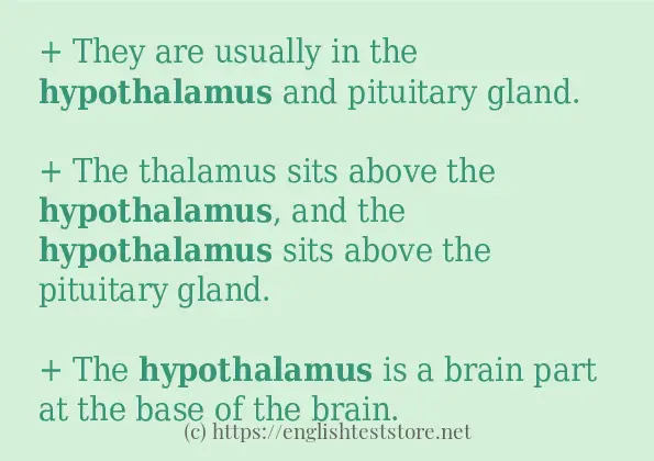 hypothalamus how to use in sentences