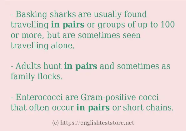 in pairs use in sentences