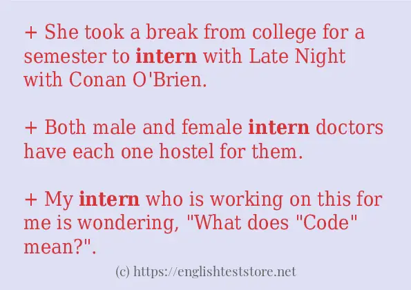 intern example in sentences