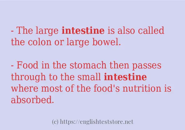 intestine use in sentences