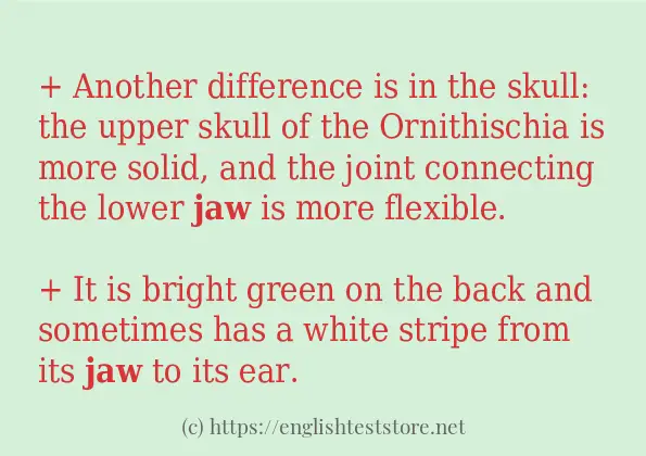 jaw use in sentences