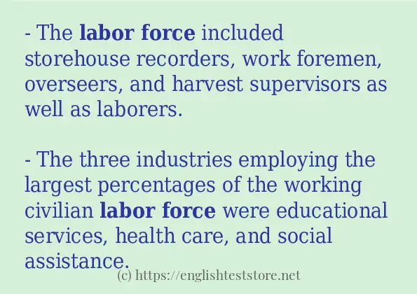 labor force - some sentence examples