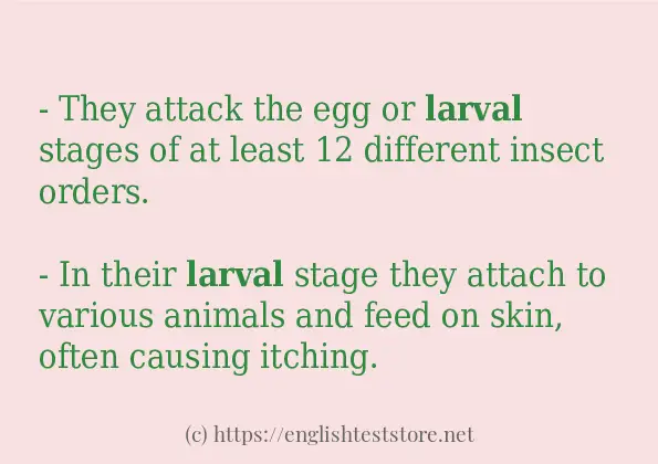 larval how to use in sentences