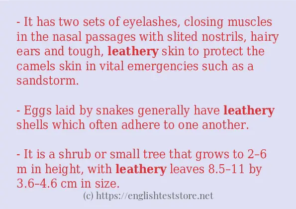 leathery - example sentences