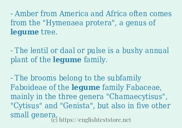 legume how to use in sentences