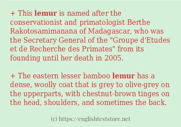 lemur - some sentence examples