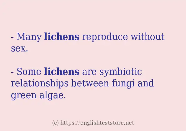 lichens how to use?