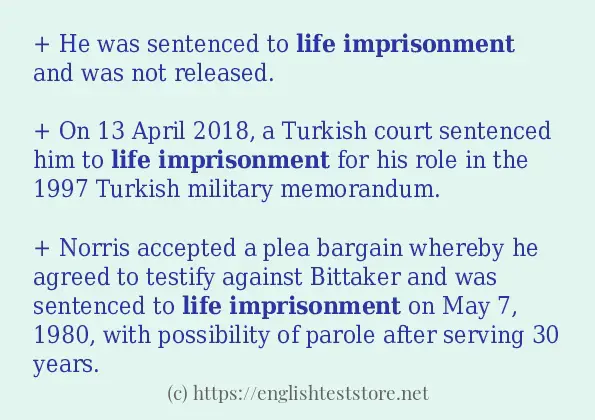 life imprisonment how to use in sentences