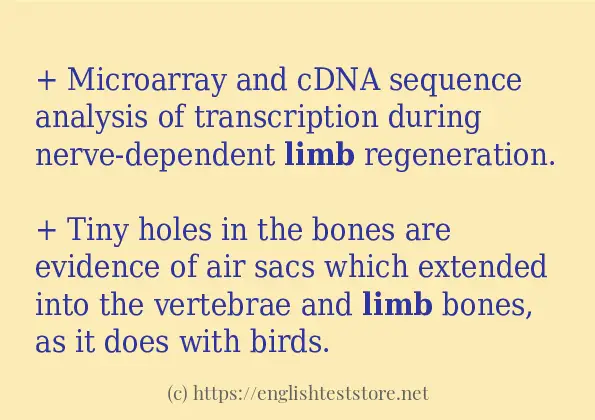 limb - some sentence examples