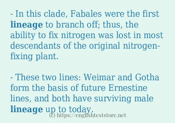 lineage use in-sentences