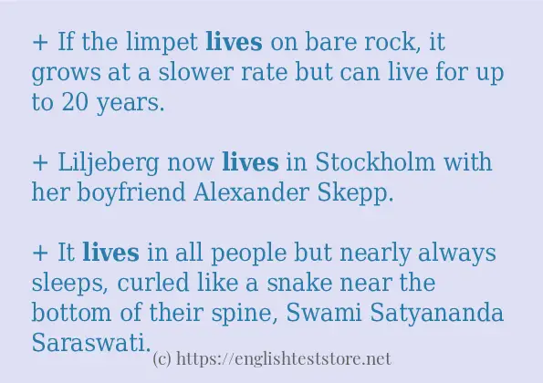 lives-in-sentences-englishteststore-blog