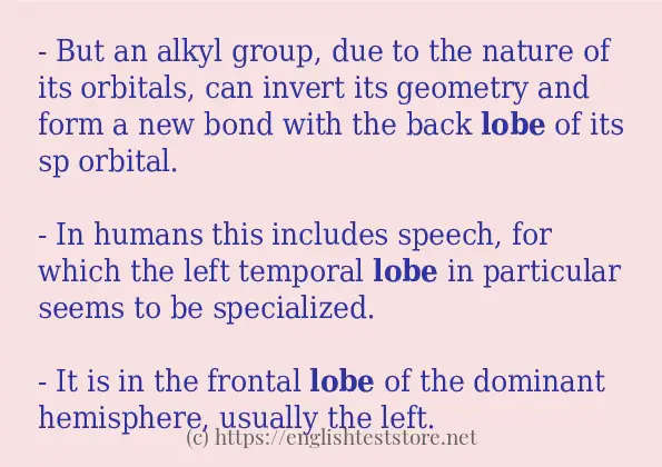 lobe in-sentences