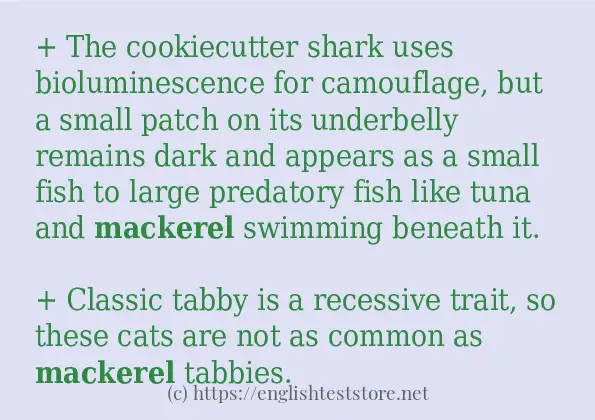 mackerel in-sentences