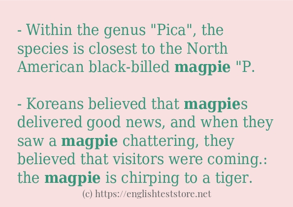 magpie how to use in sentences