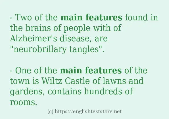 main features - sentence examples