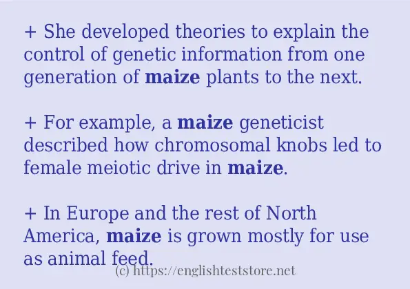 maize - example sentences