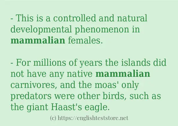 "mammalian" - sentence examples - EnglishTestStore Blog