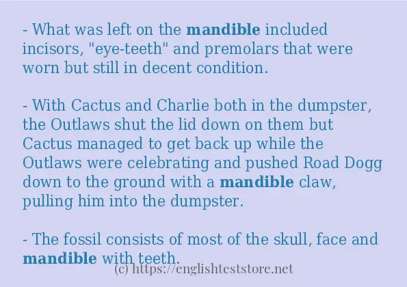 mandible in sentences?