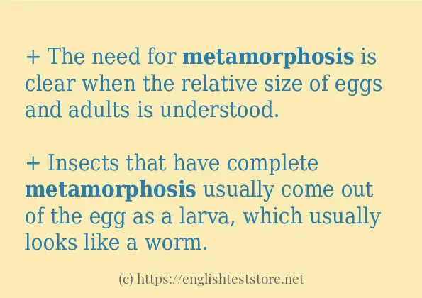 metamorphosis use in-sentences