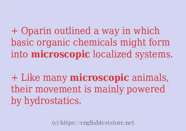 microscopic example in sentences