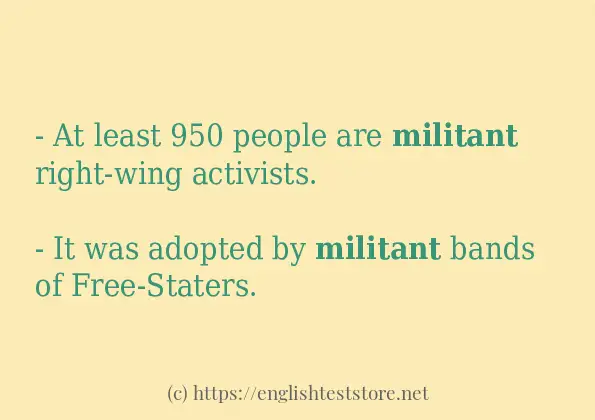 militant some example sentences