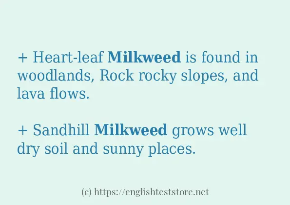 milkweed in sentences?