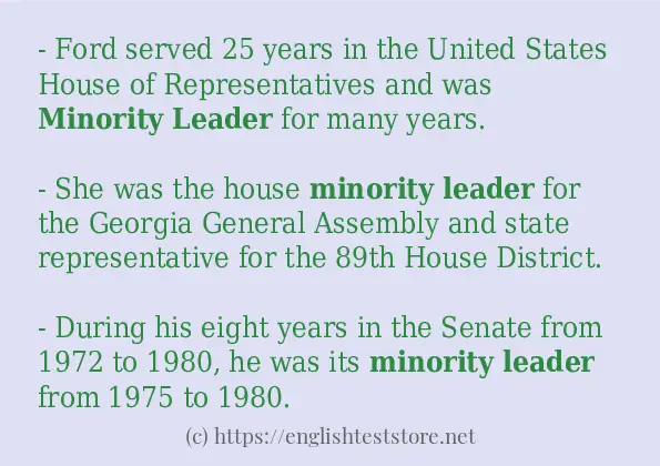 minority leader some ways to use