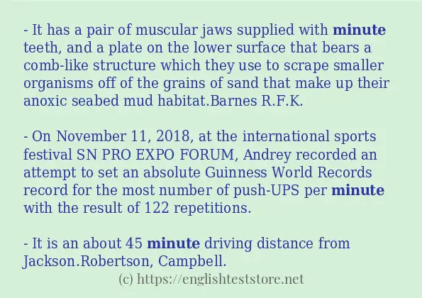 minute - sentence examples