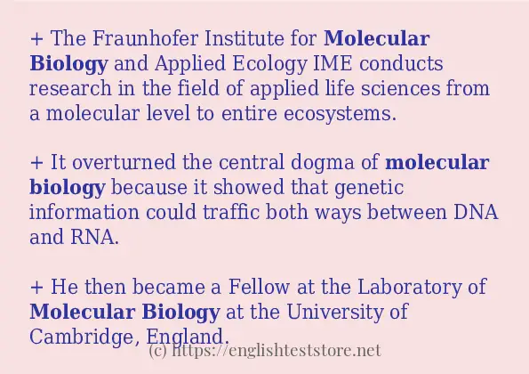 molecular biology how to use in sentences