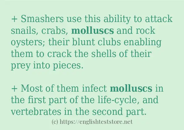 molluscs how to use in sentences