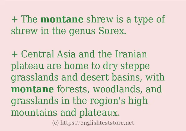 montane some ways to use