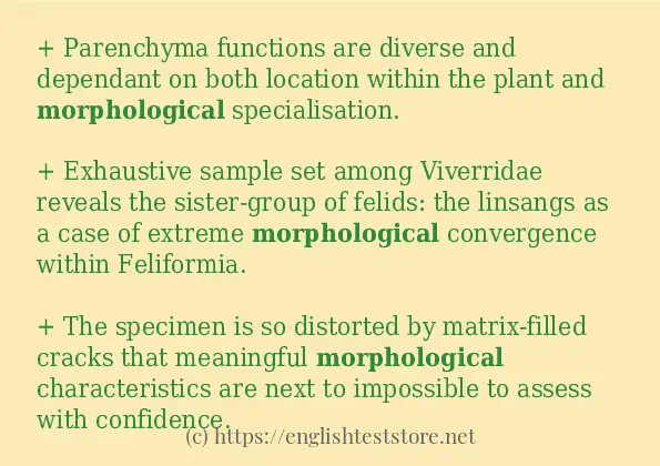 morphological some ways to use