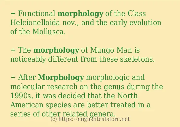 morphology some ways to use