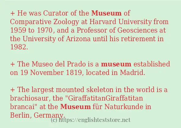 museum - sentence examples